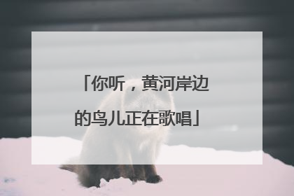 你听，黄河岸边的鸟儿正在歌唱