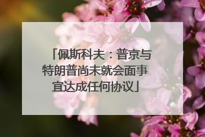 佩斯科夫：普京与特朗普尚未就会面事宜达成任何协议