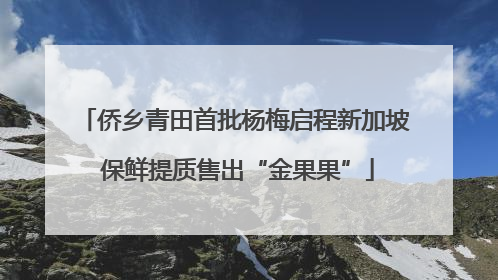 侨乡青田首批杨梅启程新加坡 保鲜提质售出“金果果”