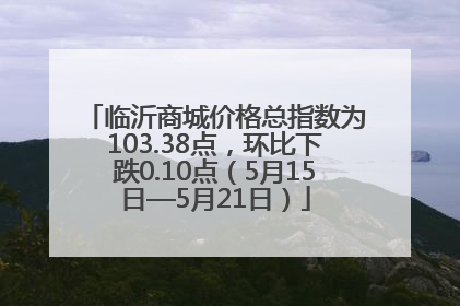 临沂商城价格总指数为103.38点，环比下跌0.10点（5月15日—5月21日）