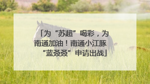 为“苏超”喝彩，为南通加油！南通小江豚“蓝叒叒”申请出战