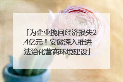 为企业挽回经济损失2.4亿元！安徽深入推进法治化营商环境建设