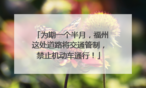 为期一个半月，福州这处道路将交通管制，禁止机动车通行！