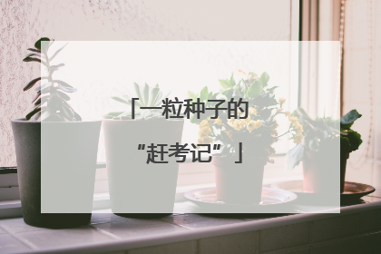 一粒种子的“赶考记”