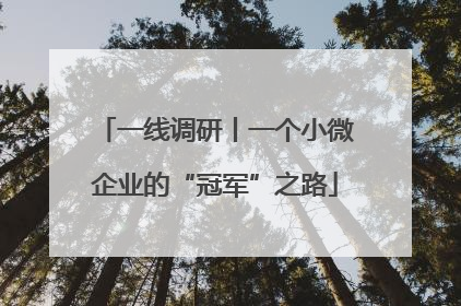 一线调研丨一个小微企业的“冠军”之路