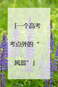 一个高考考点外的“风景”