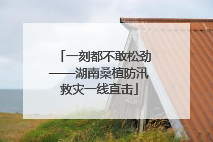 一刻都不敢松劲——湖南桑植防汛救灾一线直击