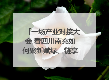 一场产业对接大会 看四川南充如何聚新赋绿、链享未来｜打赢经济发展翻身仗
