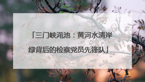 三门峡渑池：黄河水清岸绿背后的检察党员先锋队