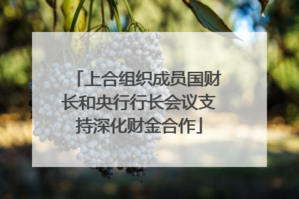 上合组织成员国财长和央行行长会议支持深化财金合作