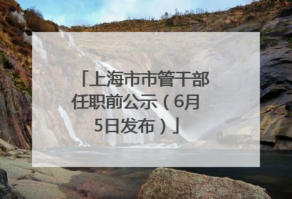 上海市市管干部任职前公示（6月5日发布）