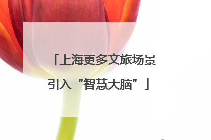 上海更多文旅场景引入“智慧大脑”