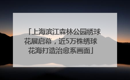 上海滨江森林公园绣球花展启幕，近5万株绣球花海打造治愈系画面