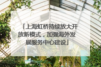 上海虹桥持续放大开放新模式，加强海外发展服务中心建设