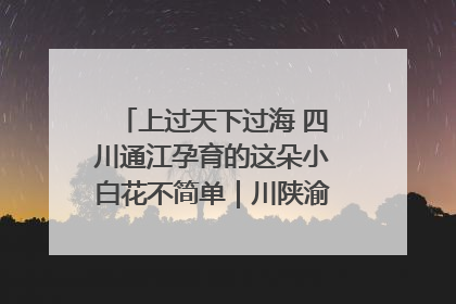 上过天下过海 四川通江孕育的这朵小白花不简单｜川陕渝网络名人巴中行