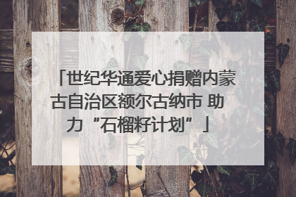 世纪华通爱心捐赠内蒙古自治区额尔古纳市 助力“石榴籽计划”
