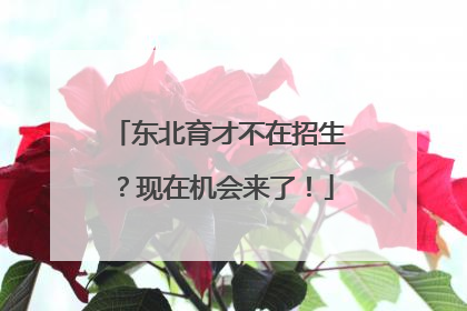 东北育才不在招生？现在机会来了！