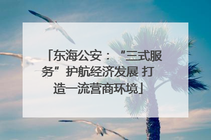 东海公安：“三式服务”护航经济发展 打造一流营商环境