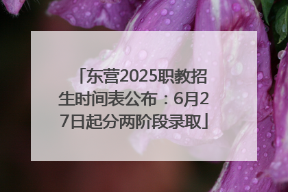 东营2025职教招生时间表公布：6月27日起分两阶段录取