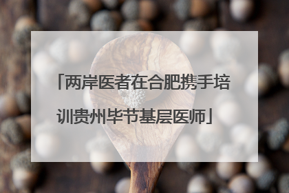两岸医者在合肥携手培训贵州毕节基层医师