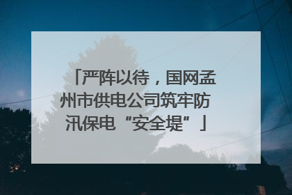 严阵以待，国网孟州市供电公司筑牢防汛保电“安全堤”