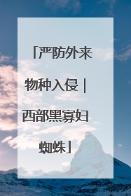 严防外来物种入侵｜西部黑寡妇蜘蛛