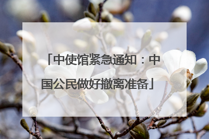 中使馆紧急通知：中国公民做好撤离准备