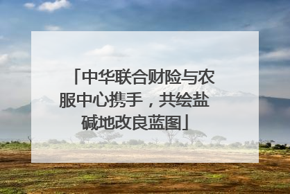 中华联合财险与农服中心携手，共绘盐碱地改良蓝图