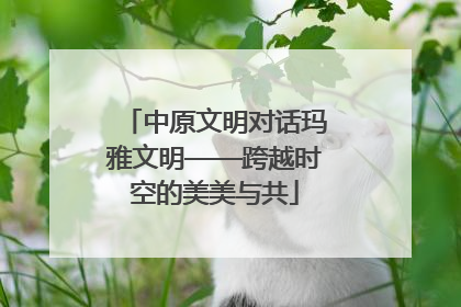 中原文明对话玛雅文明——跨越时空的美美与共