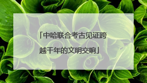 中哈联合考古见证跨越千年的文明交响