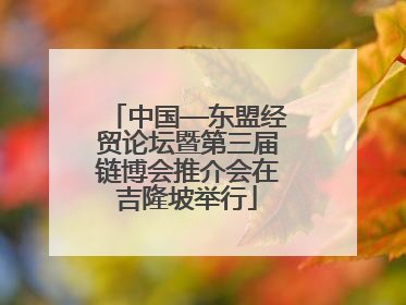 中国—东盟经贸论坛暨第三届链博会推介会在吉隆坡举行