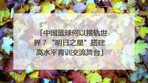 中国篮球何以接轨世界？“明日之星”搭建高水平青训交流舞台