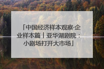 中国经济样本观察·企业样本篇︱亚华湖剧院：小剧场打开大市场