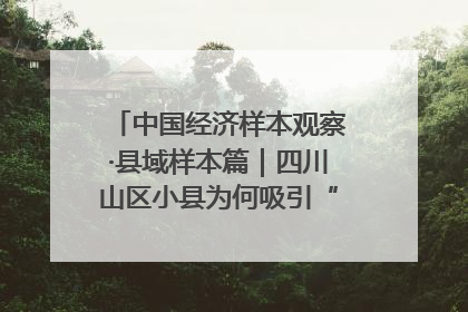 中国经济样本观察·县域样本篇｜四川山区小县为何吸引“村播”扎堆？
