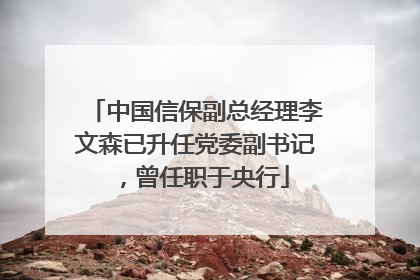 中国信保副总经理李文森已升任党委副书记，曾任职于央行