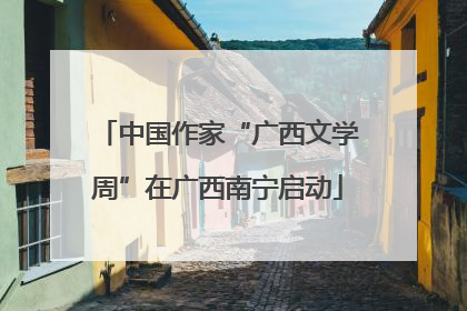 中国作家“广西文学周”在广西南宁启动