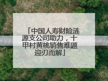 中国人寿财险涟源支公司助力，十甲村黄桃销售难题迎刃而解