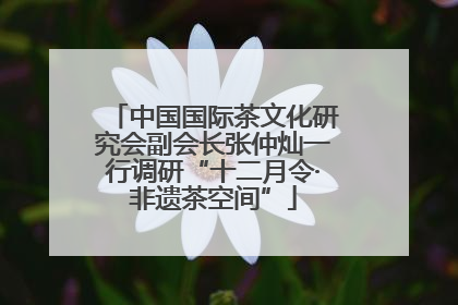 中国国际茶文化研究会副会长张仲灿一行调研“十二月令·非遗茶空间”