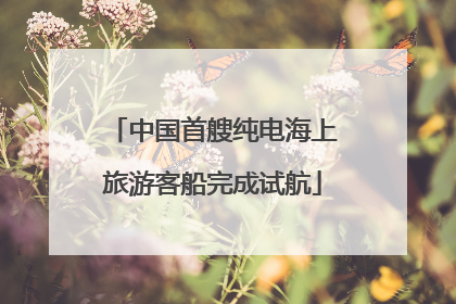 中国首艘纯电海上旅游客船完成试航