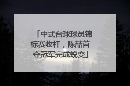 中式台球球员锦标赛收杆，陈喆首夺冠军完成蜕变