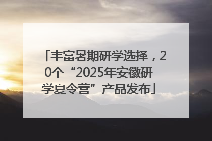丰富暑期研学选择，20个“2025年安徽研学夏令营”产品发布