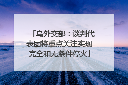 乌外交部：谈判代表团将重点关注实现完全和无条件停火
