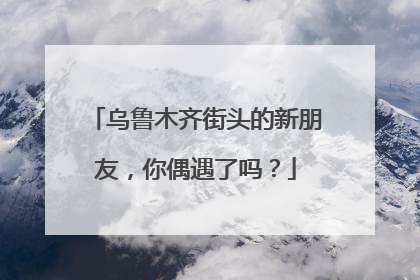 乌鲁木齐街头的新朋友，你偶遇了吗？
