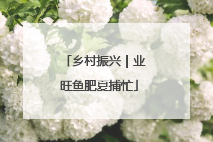 乡村振兴｜业旺鱼肥夏捕忙