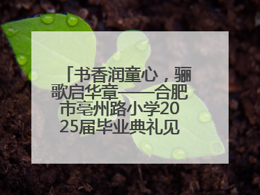 书香润童心，骊歌启华章——合肥市亳州路小学2025届毕业典礼见证成长时刻