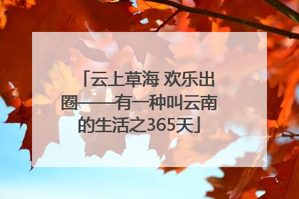 云上草海 欢乐出圈——有一种叫云南的生活之365天