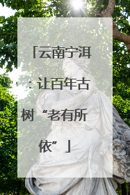 云南宁洱：让百年古树“老有所依”