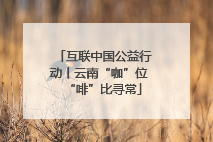 互联中国公益行动丨云南“咖”位“啡”比寻常