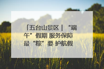 五台山景区｜“端午”假期 服务保障最“粽”要 护航假期“不打烊”