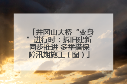 井冈山大桥“变身”进行时：拆旧建新同步推进 多举措保障汛期施工（图）